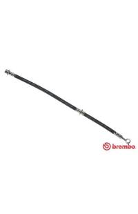 Tubo elastico del freno brembo