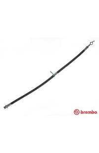 Tubo elastico del freno brembo