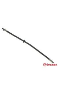 Tubo elastico del freno brembo