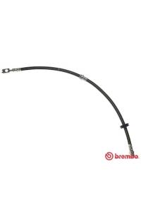 Tubo elastico del freno brembo