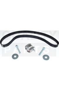 kit cinghia tendicinghia distribuzione iap