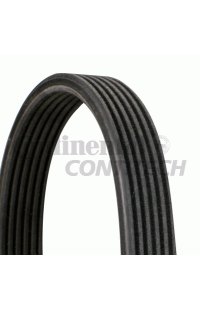 cinghia poly-v contitech