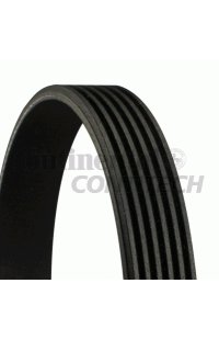 cinghia poly-v contitech