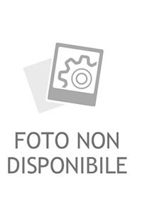 cristallo portiera pilkington