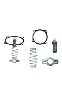 termostato  refrigerante behr